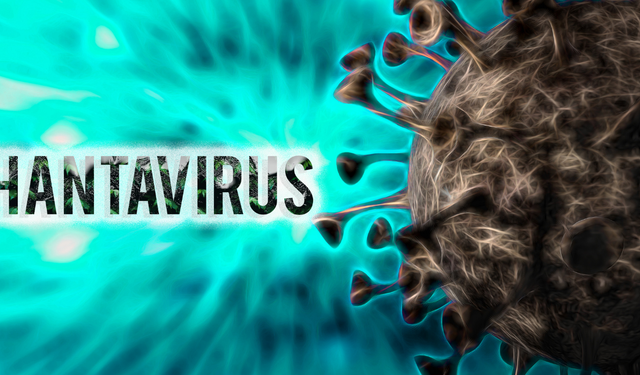Yeni pandemi endişesi! Hantavirüs vakaları sonrası karantina zinciri başladı