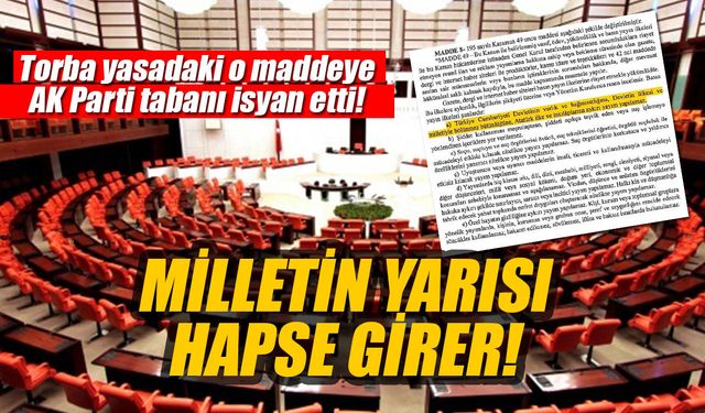 Torba yasadaki o madde AK Parti tabanını isyan ettirdi: Milletin yarısı hapse girer!