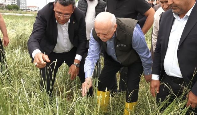 TZOB Başkanı Bayraktar’dan afet tespiti: Kahramankazan'daki dolu tarımı felç etti!