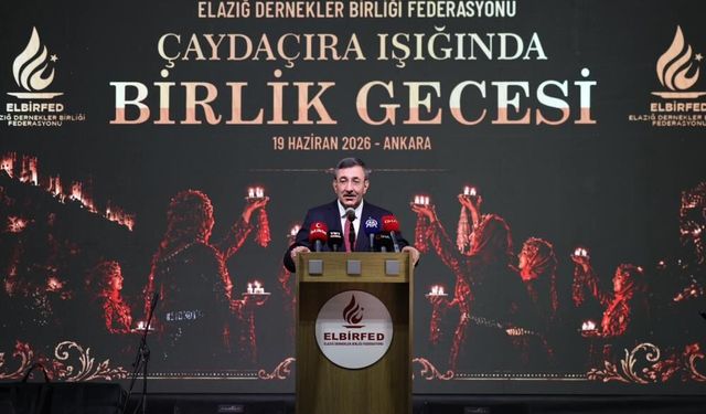 Cumhurbaşkanı Yardımcısı Yılmaz açıkladı: Terörün ülkemize maliyeti 2 trilyon dolardan fazla!
