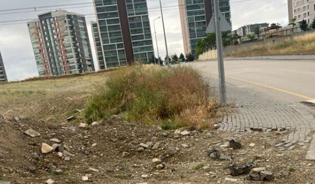 Yılan Korkusu, Ot Sorunu, Bakımsızlık... Susuz Mahallesi Çözüm Bekliyor