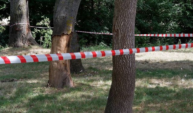 İstanbul’da ormanlara giriş yasaklandı!