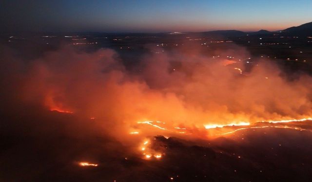 Muğla ve Adıyaman'da orman yangını!
