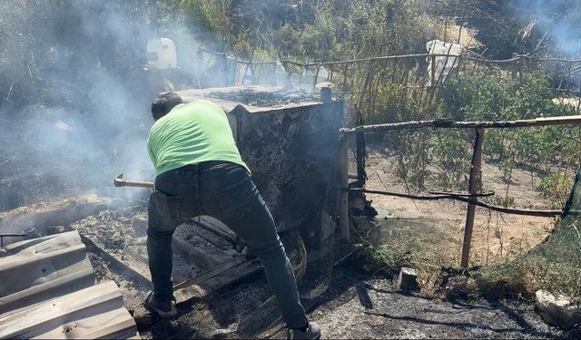 Ot yangını güvercin kulübesini küle çevirdi: 11 paçalı güvercin telef oldu