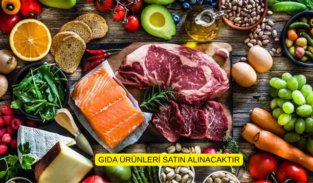 GIDA ÜRÜNLERİ SATIN ALINACAKTIR