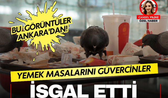 Ankara'daki ATG AVM'de tepki çeken görüntüler! Yemek katını güvercinler bastı