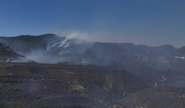 Alanya'daki orman yangınında mücadele ikinci gününde dron ile görüntülendi