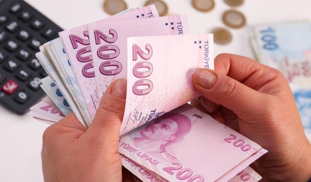 GİB'den mükelleflere uyarı: 3 gün boyunca kullanılmayacak!