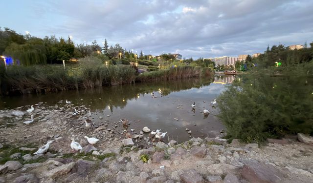Ankara'nın gözde parkında kirlilik alarmı! Göksu Parkı' nda kötü koku yükseliyor