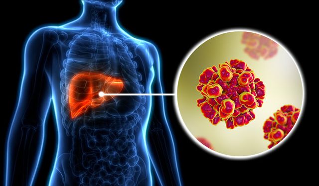 Neden herkes hepatiti ciddiye almalı? Prof. Dr. Karadurmuş anlattı
