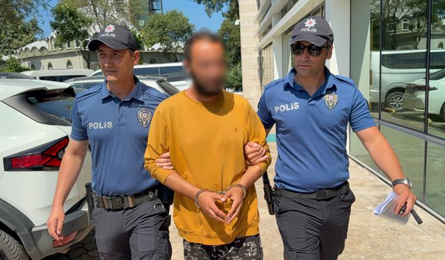 Esnafın baktığı kediye tekme atan şahıs tutuklandı: "Sinirliydim, pişmanım" dedi