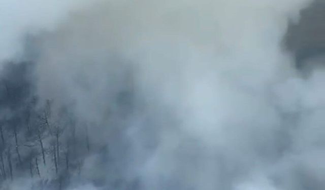 Kütahya'da orman yangını! Karadan ve havadan müdahale sürüyor