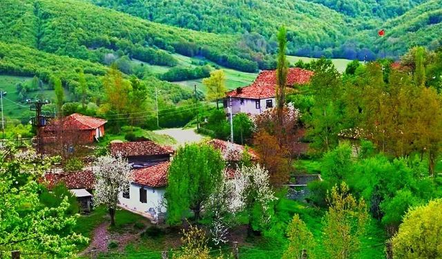 Tokat Musullu köyü Alevi mi? Eren Kaşıkçı alevi mi? Tokat Musullu köyü eski adı