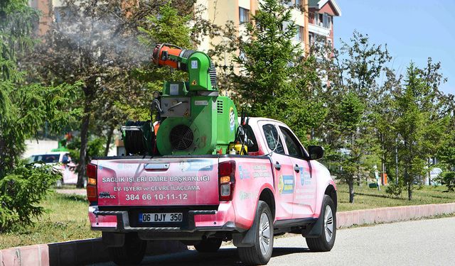 Ankara’da sivrisinek, kene ve haşereye karşı ilaçlama mesaisi sürüyor