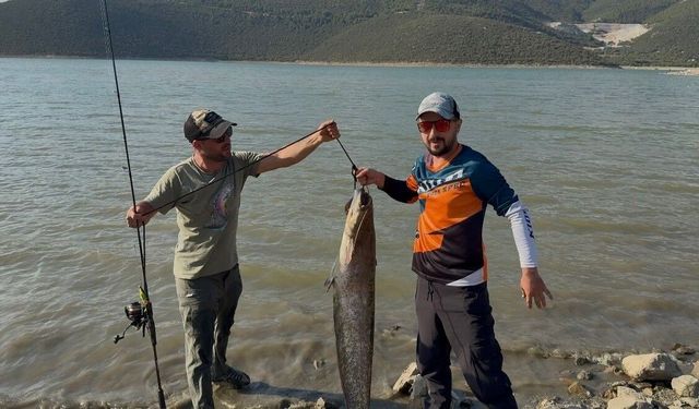 Turna avına çıktılar, oltalarına 127 santimlik dev yayın takıldı