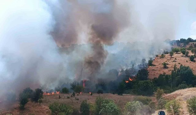 Malatya'da orman ve örtü yangını kontrol altına alındı
