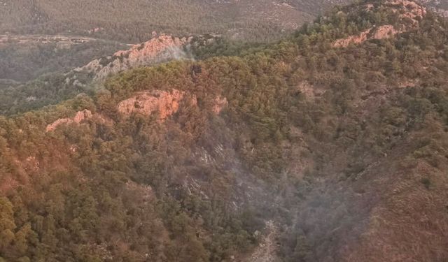 Antalya Kemer’de orman yangını kontrol altına alındı: Ekipler gece boyunca mücadele etti