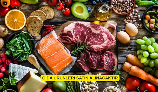 GIDA ÜRÜNLERİ SATIN ALINACAKTIR