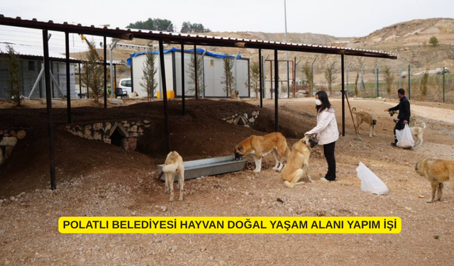 POLATLI BELEDİYESİ HAYVAN DOĞAL YAŞAM ALANI YAPIM İŞİ