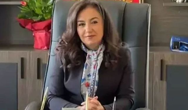 İdil Belediye Başkanı Türkan Kayır kimdir, hangi partiden?