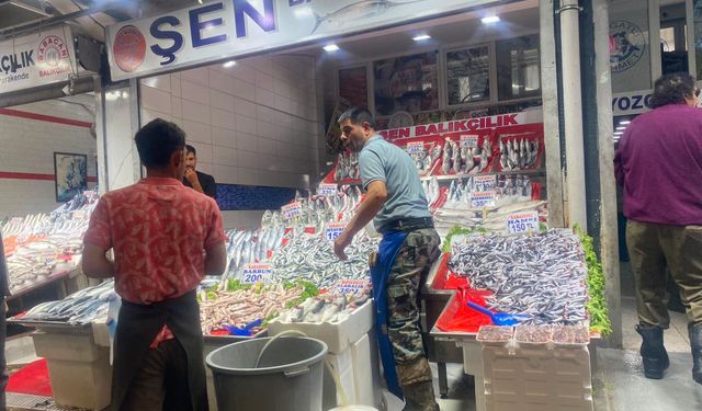 Balık sezonu başladı, Ulus Hali hareketlendi: “En taze balık Ankara’da yenir”