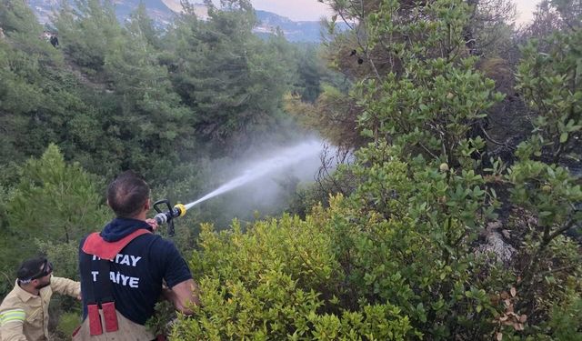 Hatay’da korkutan orman yangını: Ekipler alevlere müdahale etti