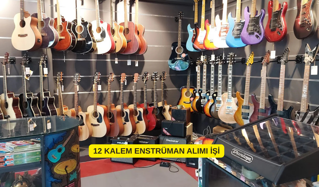 12 KALEM ENSTRÜMAN ALIMI İŞİ