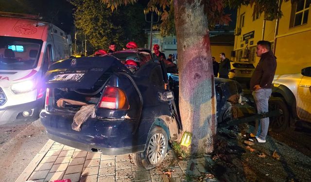 Ağaca çarpan otomobil iki kardeşi ayırdı: Küçük kardeş öldü, ağabeyi entübe edildi
