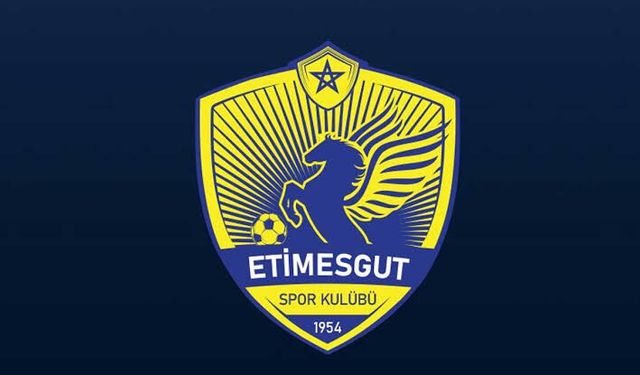 Ankara futbolunda PFDK kararları: Etimesgutspor'dan bir futbolcuya ceza!