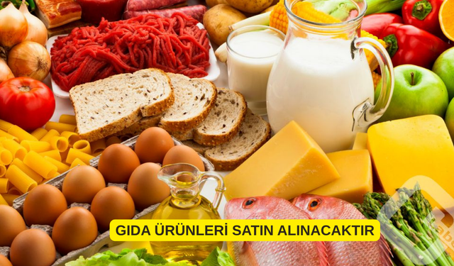 GIDA ÜRÜNLERİ SATIN ALINACAKTIR