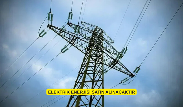 ELEKTRİK ENERJİSİ SATIN ALINACAKTIR