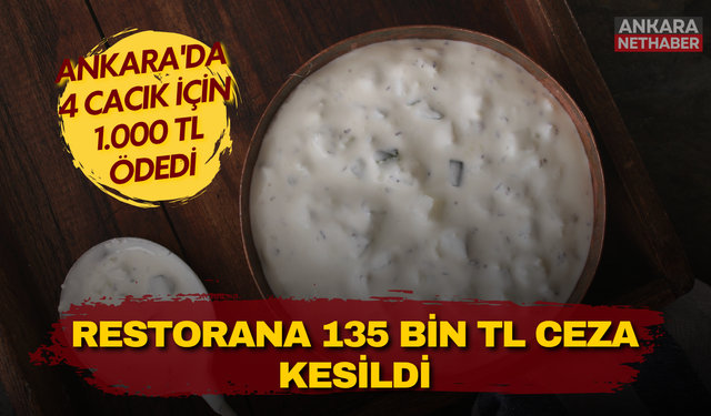 Ankara'da 4 cacık için 1.000 TL ödedi! Restorana 135 bin TL ceza kesildi