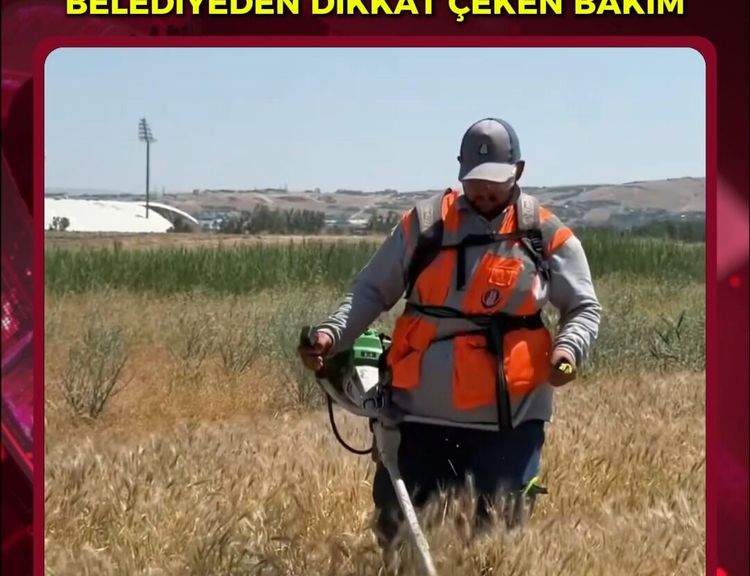 Macron sabah sporunu Sincan’da mı yapacak? Belediyeden dikkat çeken bakım