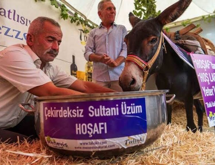 "Eşek hoşaftan ne anlar?" önyargısını yıkmak için bakın ne yaptılar