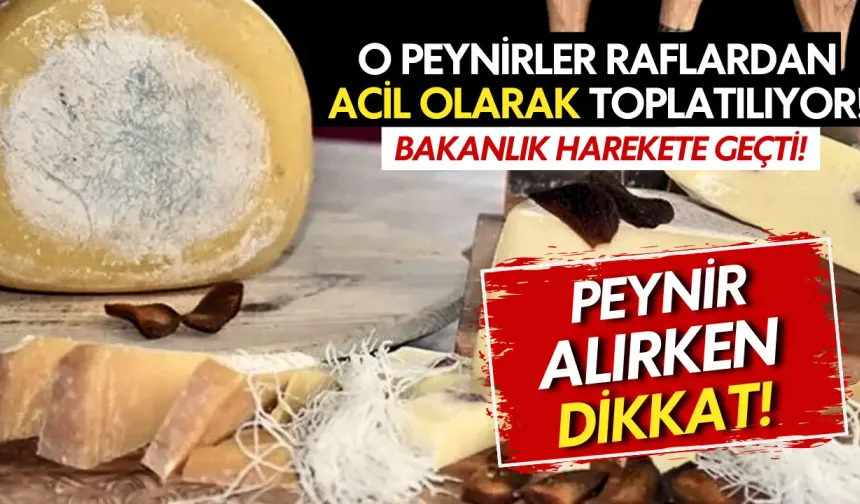 Bu Peynir Markalarında Gizlenen Tehlike Ortaya Çıktı! Tarım Bakanlığı Harekete Geçti, Raflardan Toplanıyor!