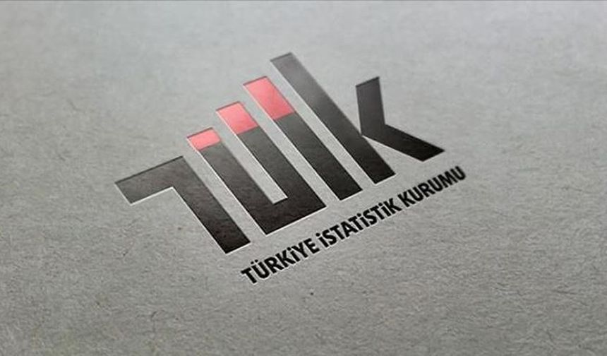 TÜİK duyurdu: Bilişim personelleri alınacak