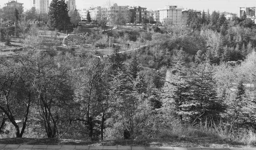 Ankara'ya Anlamlı Anıt: Dışişleri Şehitleri Anıtı İnşa Edilecek