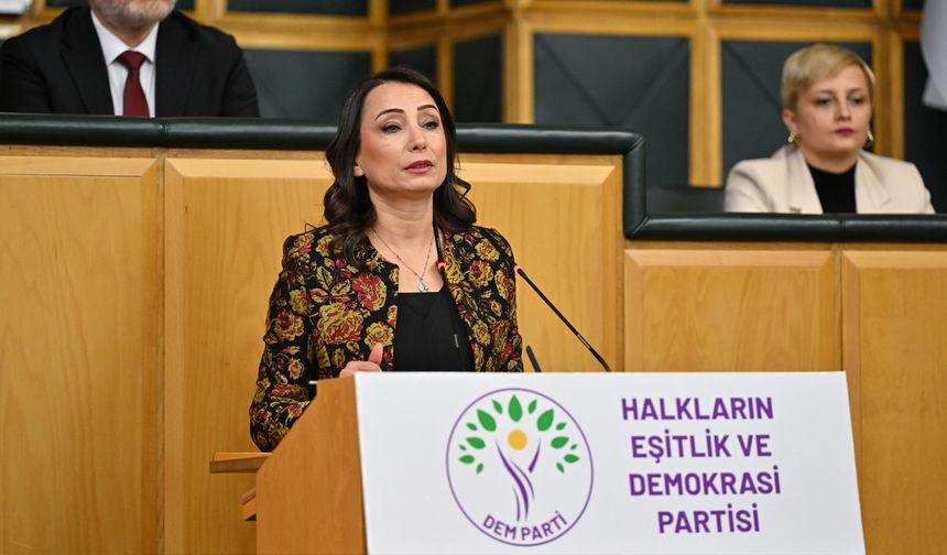 DEM'li Hatimoğulları'ndan şok imralı çıkışı: "Devletin gittiği yere siyaset de gitmeli"