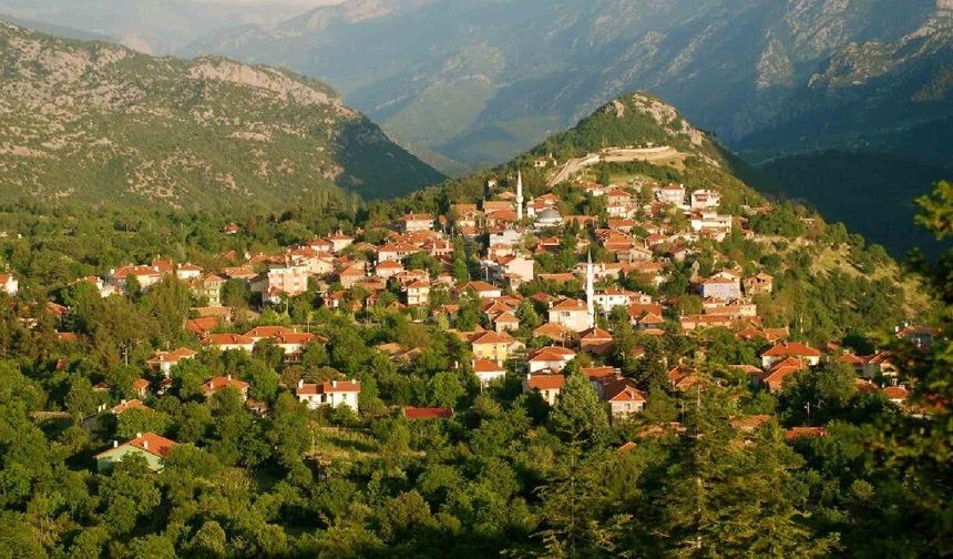 Ankara dahil 27 ilde bazı alanlar orman sınırları dışına çıkarıldı
