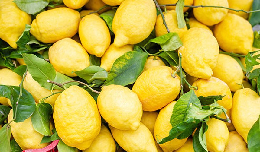 Limon fiyatları 100 TL’yi aşmıştı! Bakanlıktan gümrük vergisi kararı