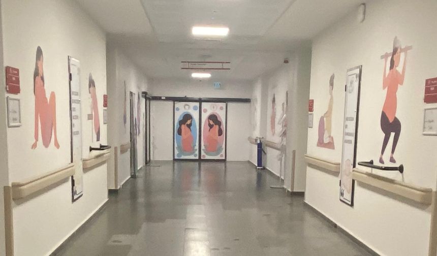 Ankara Sincan'da bebek akademisi başladı