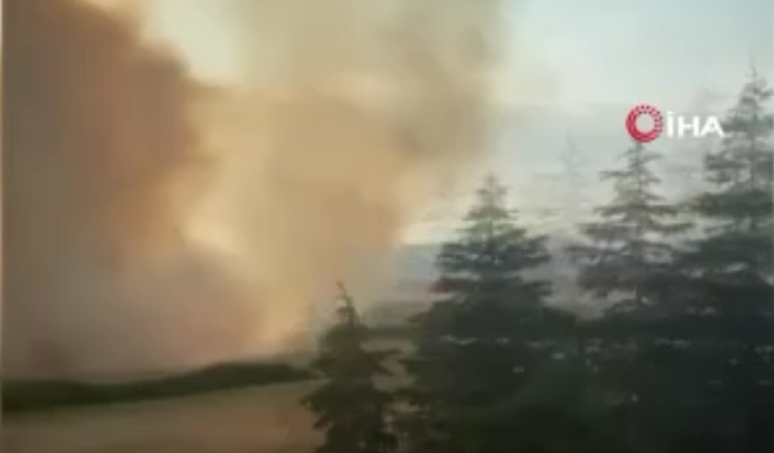 Polatlı’da hobi bahçesindeki yangın arpa tarlasını kül etti