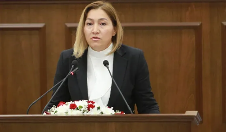 KKTC'li vekil Yasemin Öztürk'ten uyarı: "İsrail’den Güney Kıbrıs’a yoğun göç başladı"