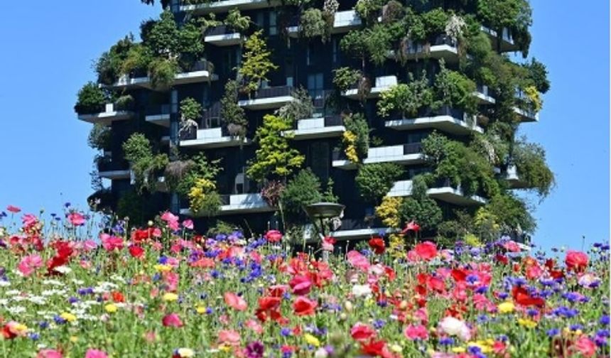Milano’nun kalbinde yükselen dikey orman görenleri hayran bırakıyor