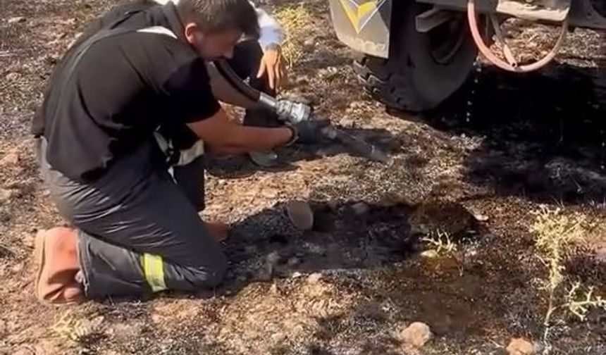 Bolu'da yürek ısıtan anlar: Dumandan etkilenen kirpiye itfaiyeciler böyle su verdi