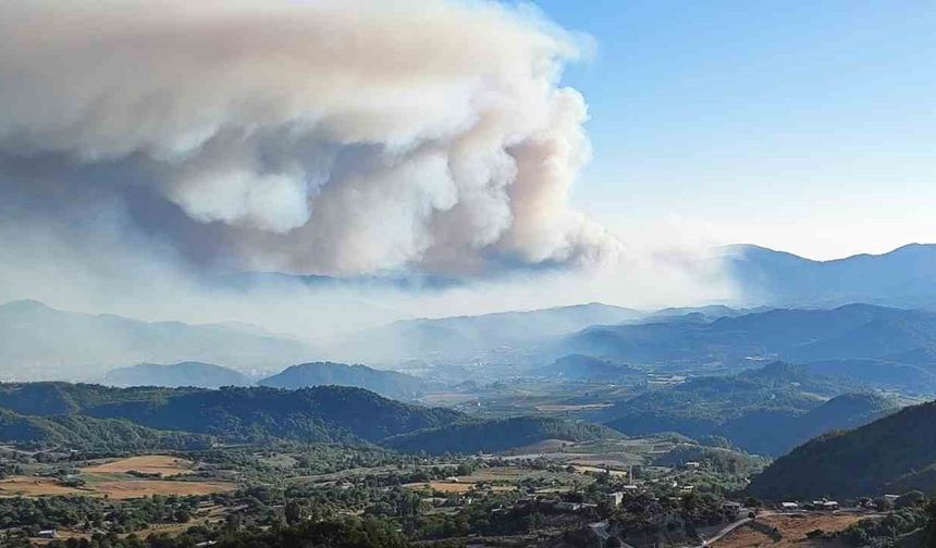 Suriye'deki orman yangını Hatay’a sıçradı! Sınırda yoğun müdahale sürüyor