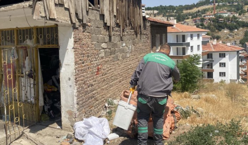 Başkentte Yılan Paniği: Vatandaşlar Uyardı Müdahale Geldi