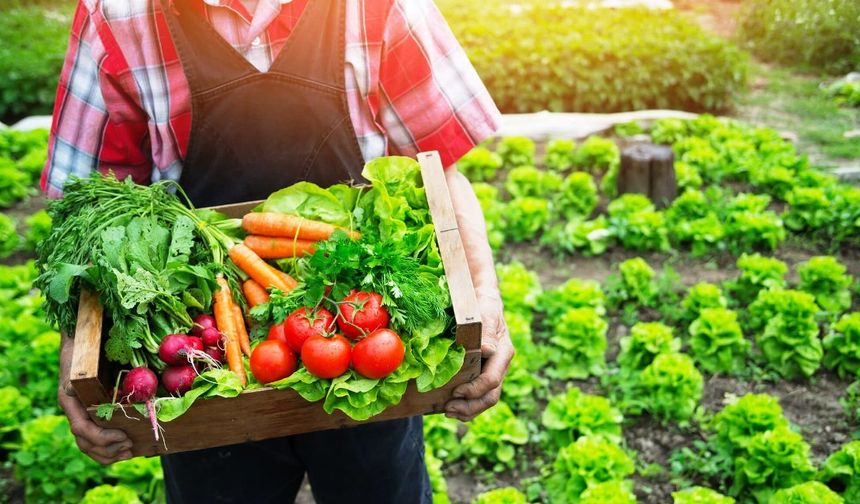 Ticaret Bakanlığı’ndan ‘organik ürün’ sahteciliğine karşı hamle