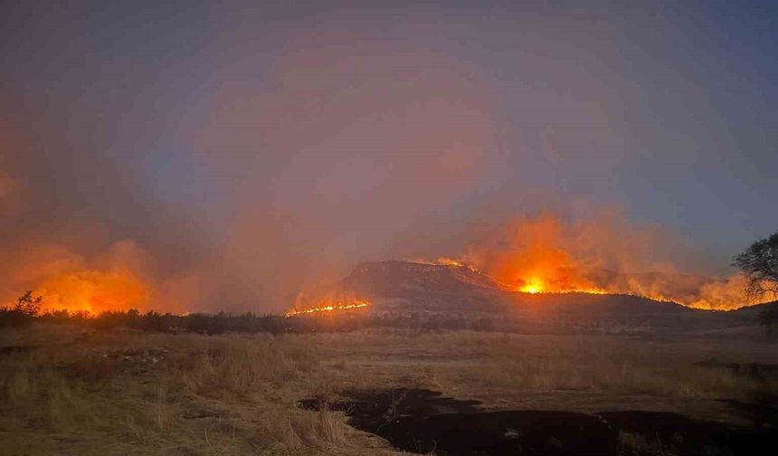 Diyarbakır’ın 3 ilçesinde etkili olan yangına müdahale devam ediyor