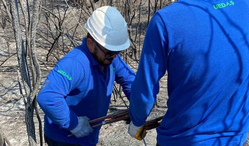 Orman yangınları nedeniyle zarar gören enerji hatları onarılıyor
